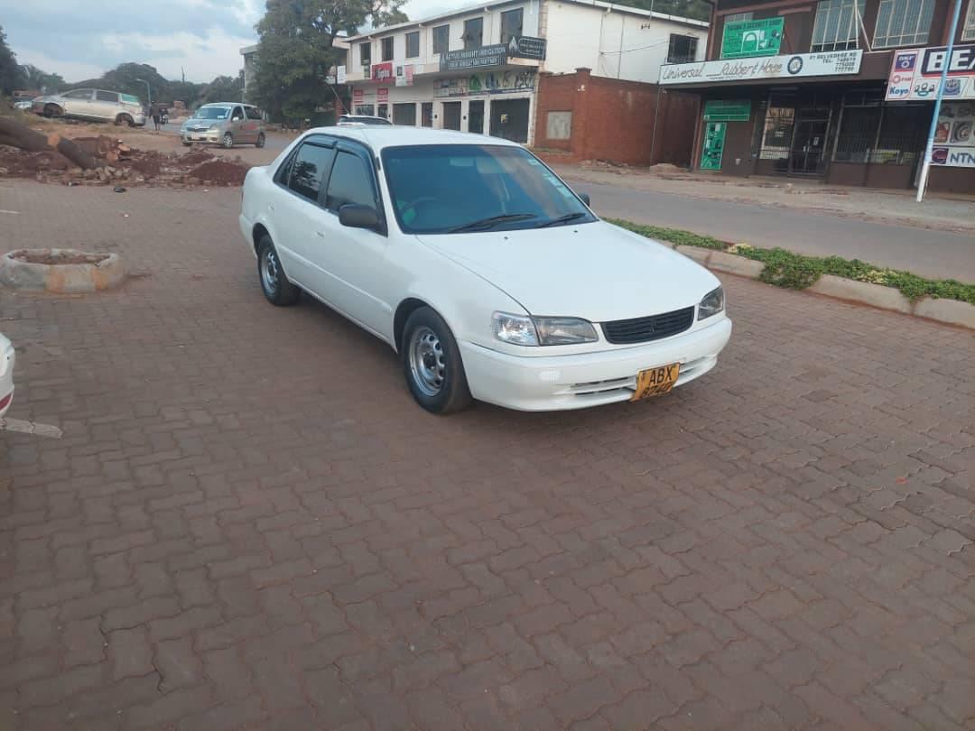 used toyota corolla