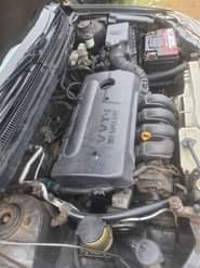 A picture of No waste of Time As Edey hot Everything is working