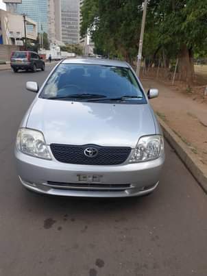 used toyota corolla