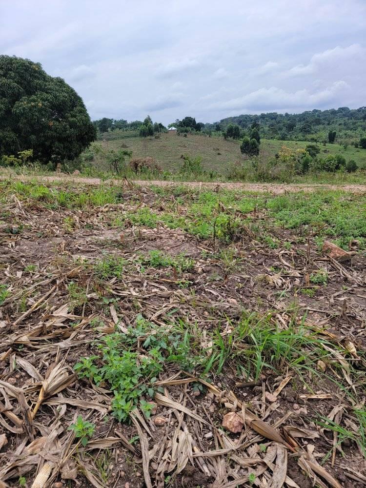A picture of PLOTS FOR SALE