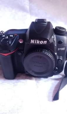 nikon