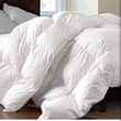 A picture of Quilts