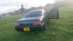 A picture of Cresta inauzwa