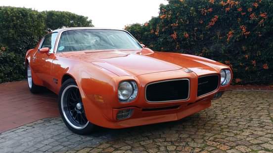 Classic,Muscle A.
