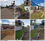 stands