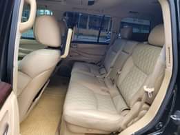 A picture of New Arrival follower and lover s of ShaggyMOTORS 2010 upgraded