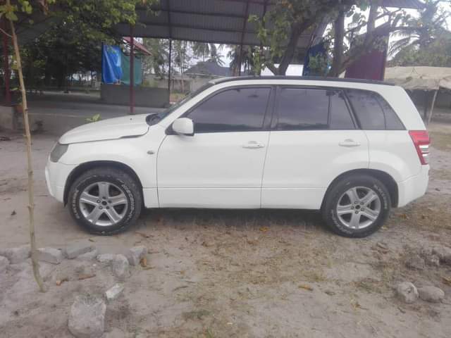 A picture of Suzuki tanapa