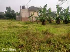 A picture of Half acre for sale in kira just 200 meters off