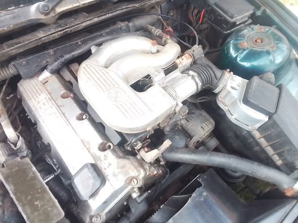 bmw 316i