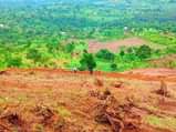 A picture of CHRISTMAS OFFER 50BY100 AT 7M ONLY AGREEMENT LAND