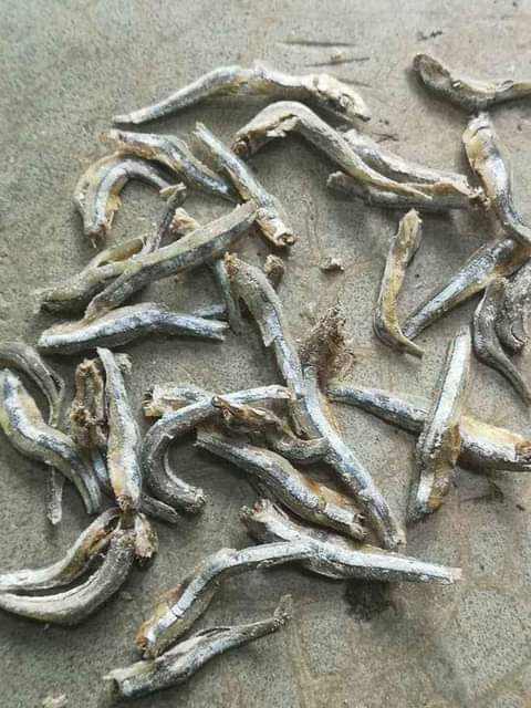 A picture of Dagaa nyama