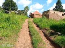 A picture of PLOTS WITH READY TITLE ON SALE Located at matugga bombo