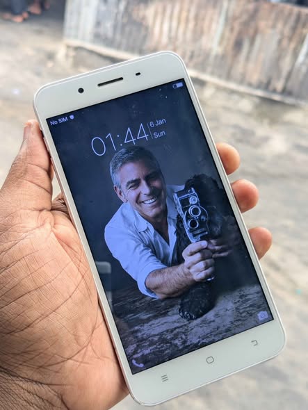 A picture of VIVO Y66