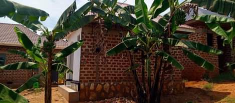 A picture of Ndagano