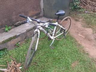 A picture of Spot bike