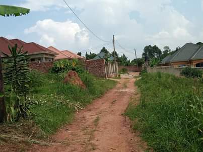 houses matugga
