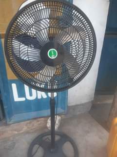 A picture of Feni