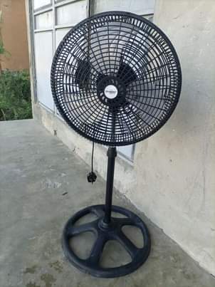 A picture of Fenj
