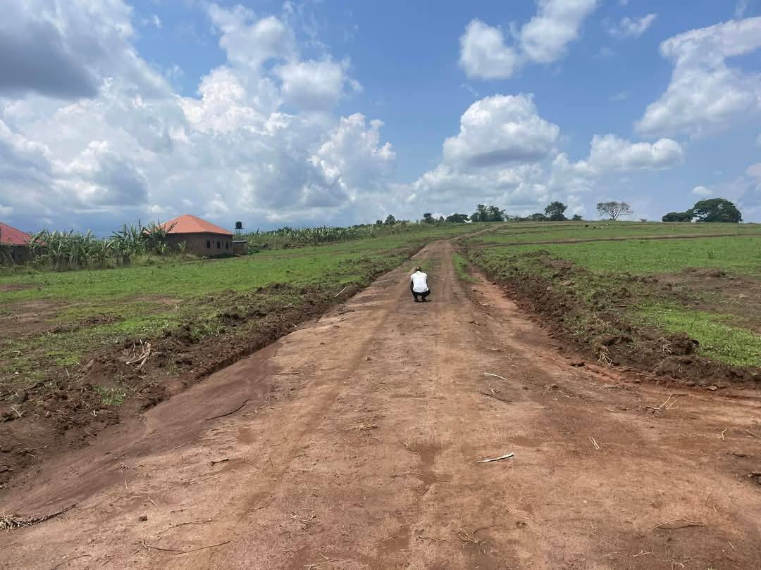 A picture of PRIME ESTATE LOCATED BUJJUKO MITYANA ROAD