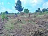 A picture of PLOT FOR SALE AT 7 MILLION UGX LOCATED IN MATUGGA