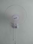 A picture of FENI
