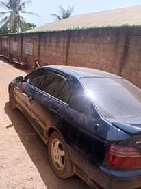 A picture of Honda Adidas