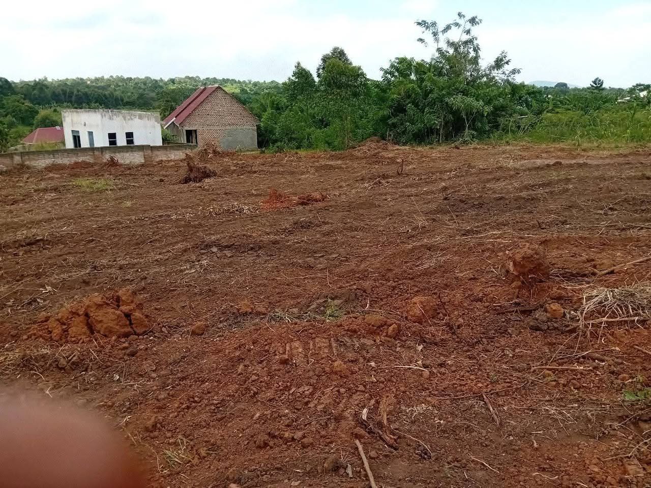 A picture of PLOTS