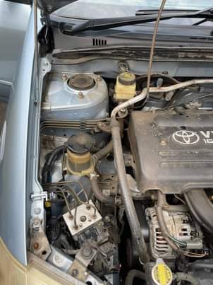 CARS F.