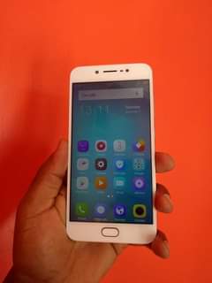 oppo f1