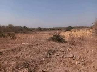 mwembeshi