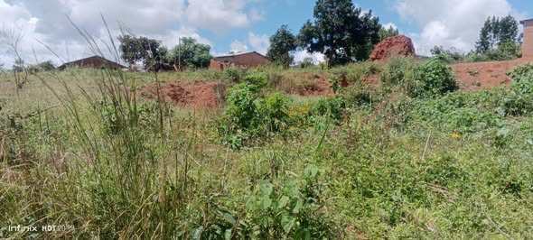 land