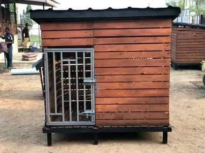 A picture of Pet services