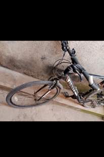 A picture of Dawes