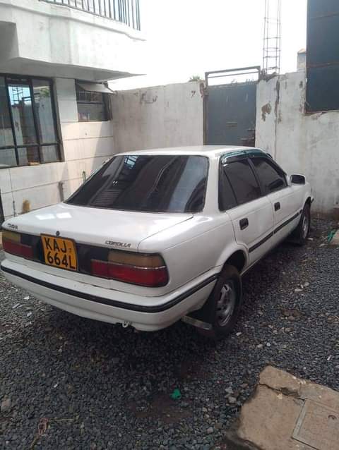 A picture of 1997 91 91 91