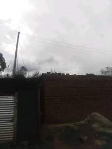 A picture of Any serious buyer iam selling this 50 by 100 plot