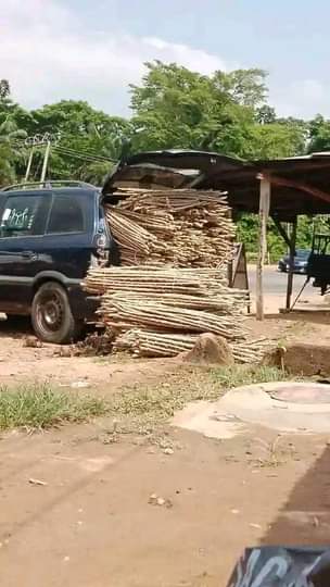 A picture of SUPER GRO organic fertilizer