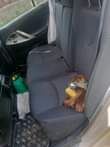 A picture of 2008 TOYOTA Camry muscle
