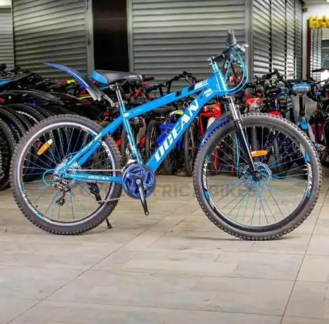 A picture of ELECTRIC BICYCLE FOR LIPA MDOGO MDOGO