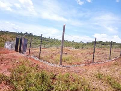 makutano plots