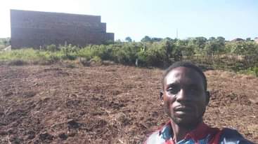 A picture of Plot