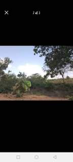 A picture of SHAMBA JINGINE ZURI HEKA SITA LINAUZWA LIPO ZEGERO MZENGA MKOA