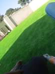 A picture of Artificial grass carpets
