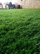 A picture of Artificial grass Carpet