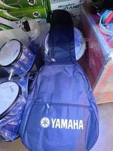 A picture of Guitar bags
