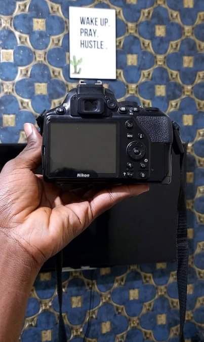 A picture of Nikon D3500