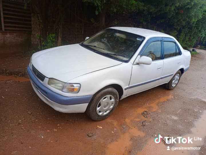 A picture of Kikumi kumi 7m Call 0701488581 What s app 0776417404