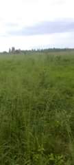 A picture of 100 acres Zirobwe Kakakara 15m per acre Private mailo land