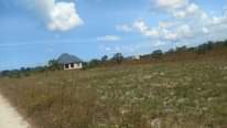 A picture of VIWANJA VIZURI VINAUZWA KIGAMBONI DEGE