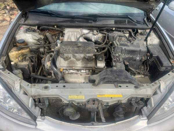 A picture of 6 plugs Camry Available for 3 1m to owner Settle