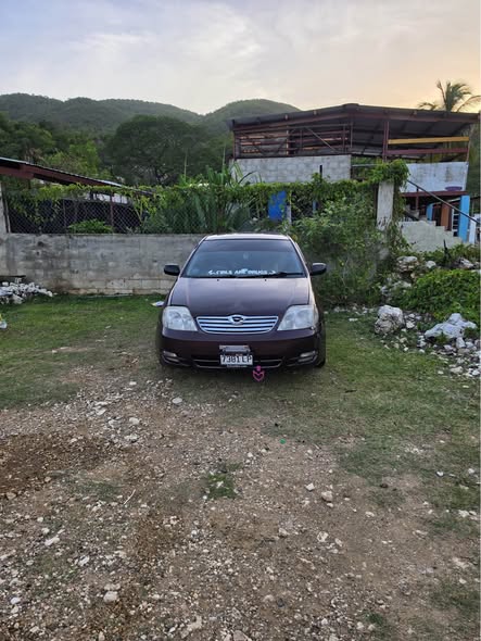 cars